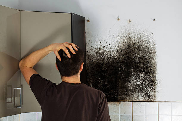 Best Mold Removal Process  in Desoto, TX